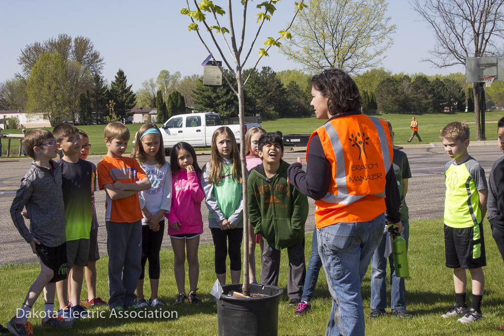 school children planting trees