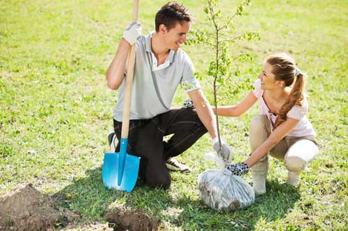 Young couple planting a tree